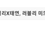 소녀시대 태연 <b>악플러</b>