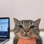 우리집에서 나만 i_t 임