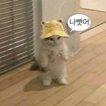 니가 뭘 <b>아냐</b>