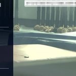 또 사고 터졌네... 태권<b>도장</b> 5세 심정지 사건
