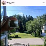 [모두드루와] 떠그클럽 <b>조영민</b> 약했대..