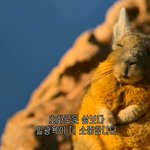 [댓글부탁해] 유럽 <b>어디</b>가 제일 좋았어 ?