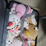 [댓글부탁해] <b>대딩</b>인데 나 아직도 기숙사임