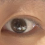 이마<b>거상</b> 6개월차 후기