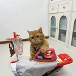 혐) 이런 건 피부 홈<b>케어</b>로는 못 고쳐? ㅠㅠ