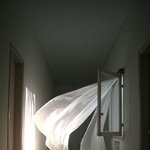 <b>커튼</b>은 휘날리는데 마음은 고요해짐
