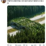 로드킬 80% <b>감소</b>시킨 도로 환경
