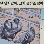나 스물둘인데 아직 <b>판창</b>임