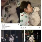 크러쉬 조이 <b>결별</b> 기사 없네 아직