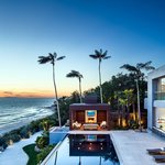 For <b>all</b> the lone wolves