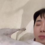 [모두드루와] 반려견 키우는 직장인들 공감짤.jpg