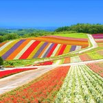 일본에서 즐기는 여름 휴가 추천지