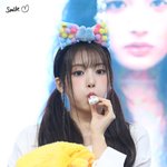 당신의 강강<b>쥬</b>에게 투표하세요