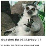 친구 없는 성인인데 <b>살만</b> 한 사람 있냐
