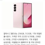 갤<b>폴드</b>6   270만원