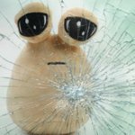 잘사는<b>동네</b> 애들은 자기<b>동네</b> 밖으로 나가기 싫어하더라