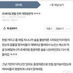 뉴진스 팬들은 멍청한게