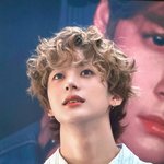 앤톤 <b>뽀글이</b> 개귀여워