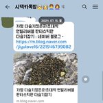 [꼭조언부탁] <b>장마철</b>에 다슬기 잡으러 가자는 시어머님(+추가)