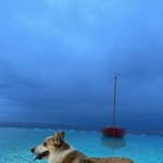 <b>거물</b>이 첫 여행 다녀왔어요