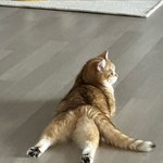 <b>궁뎅</b>이 훔쳐봤지?