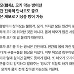 '털에 걸려 피 볼 <b>수도</b>'…모기는 털난 사람을 싫어해