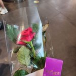 베르사체 향기와 꽃을 <b>역조</b>공한 현진.jpg