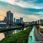 [사진] 중랑천 <b>백일홍</b>