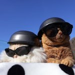 나다~! <b>건방</b>이 하늘을 찌르는