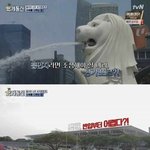 싱가포르의 담배 <b>정책</b>.jpg