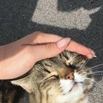 <b>당장</b> 날 예뻐하라구 안 예뻐하고 뭐해