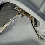 현대자동차-차가어떻든 팔면끝?