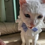 <b>사랑둥이</b> 바다 보고 가세용~~!! >ㅇ< (4)