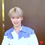 [모두드루와] 이영지 제베원 성한빈 마이캣 챌린지 미친거아냐.....