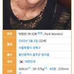 원빈 나무<b>위키</b>