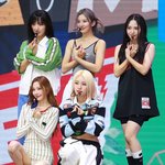 긍데 버니즈들 조금 신기함