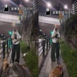 서동주 이런 모습이? 반려견 산책 중 <b>엉뚱</b>한 행동 “응봉동 가오나시”