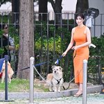 [사진]방송국 출근 앞두고 강아지 <b>산책</b> 시키는 서동주