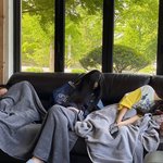 '뉴진스' 데뷔 2주년 기념으로 올라온 사진들