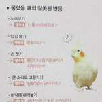 ㅁㅊ거아닌가