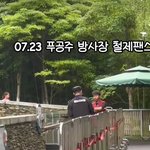 [댓글부탁해] 푸바오 방사장 철제<b>팬스</b> 이게 맞아?