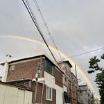 애들아 <b>힐링</b>하고가