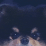 [방탄소년단] <b>연탄</b>이 무대 한번 더 하자