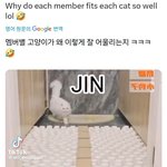 [방탄소년단] 봤을것 같다 ㅋㅋㅋ 멤버별 고양이
