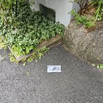 쿠팡 배송의 황당함