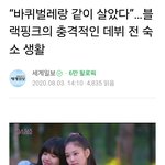 블랙핑크는 바퀴벌레랑 같이 살았다?+<b>지네</b>