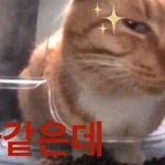 내 친구들 ㄹㅇ 축복받는 <b>체질</b> 타고난듯