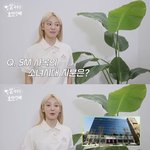 "현 SM사옥 지분은 에스파-<b>NCT</b>…소녀시대 지분 거의 없어"