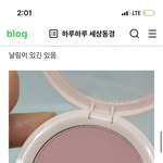 이블러셔랑 <b>비슷</b>한 색 아는사람 ㅜㅜㅈㅂ
