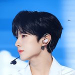 [모두드루와] 엔<b>위시</b> 유우시 왜 인기많은지 알겠다